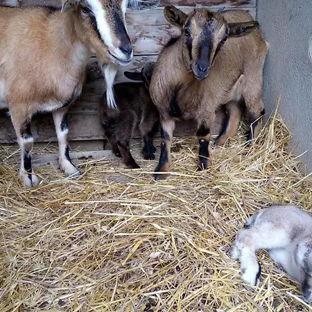 Apartamento Casa Ticci *